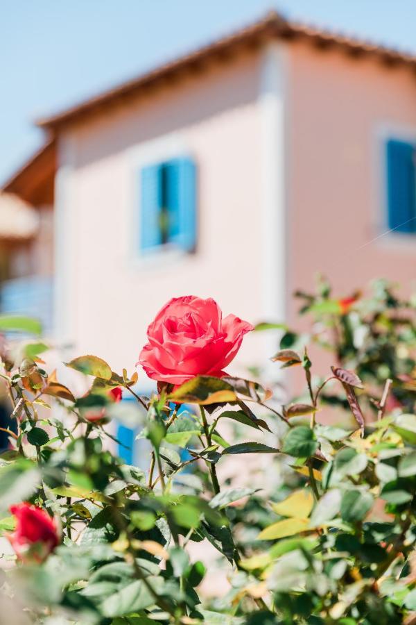Alexandros Luxury Apartments Nydri エクステリア 写真